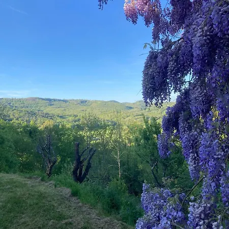 Gite Najac * Najac